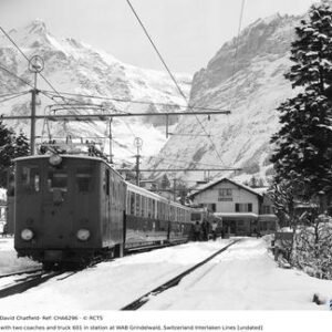CHA6296