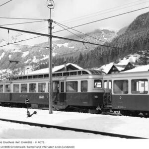 CHA6301
