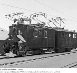 CHA6307