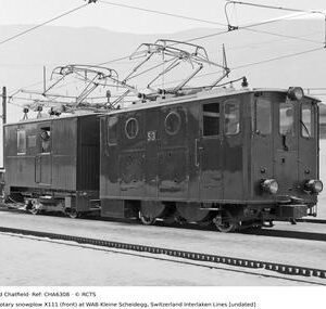 CHA6308