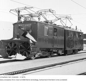 CHA6309