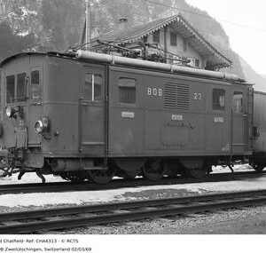 CHA6313