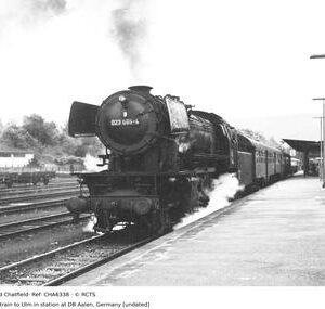 CHA6338