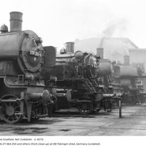 CHA6344