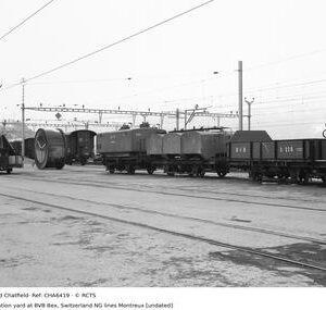 CHA6419