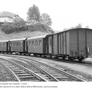 CHA6446