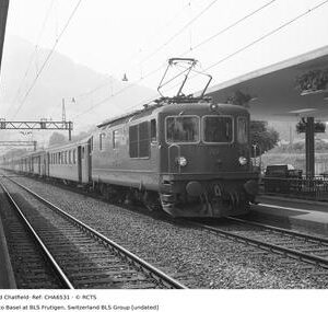 CHA6531