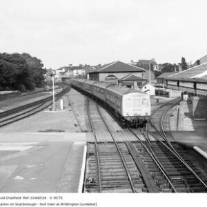 CHA6534