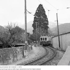 CHA6549