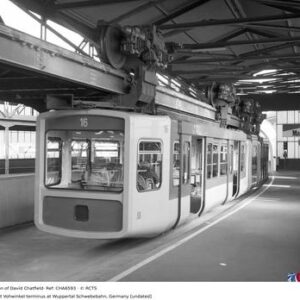 CHA6593