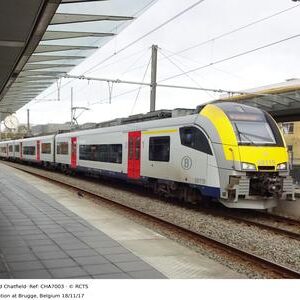 CHA7003
