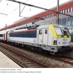 CHA7005