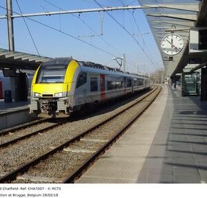 CHA7007