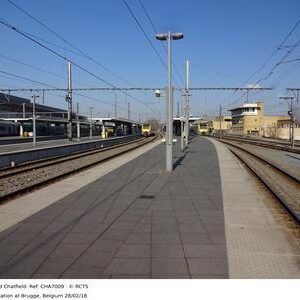 CHA7009