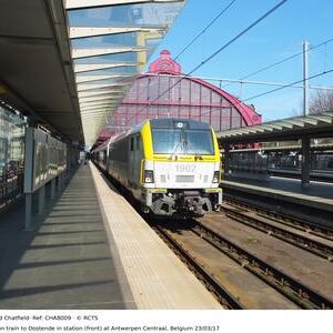 CHA8009