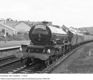 CHA8503