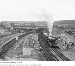 CHA8504