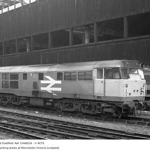 CHA8516