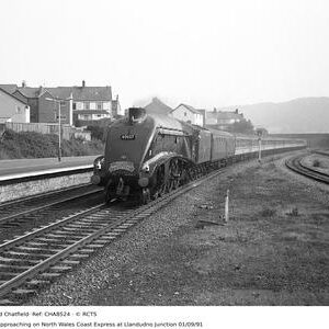 CHA8524