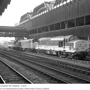 CHA8536