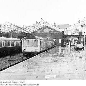 CHA8541