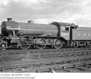 COT0016