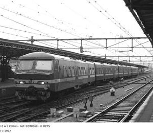 COT0369