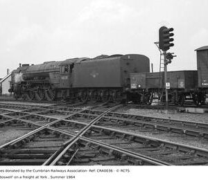 CRA0036