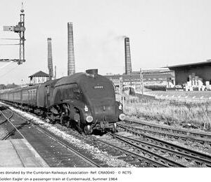 CRA0040