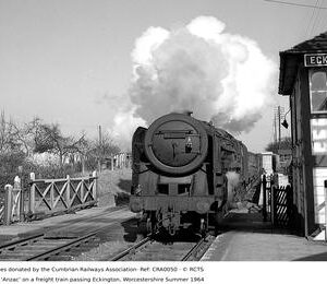 CRA0050