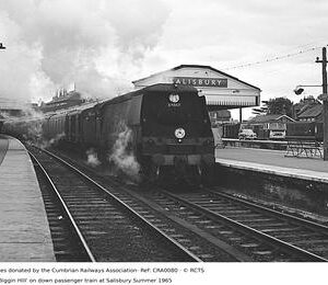 CRA0080