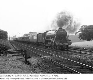 CRA0113