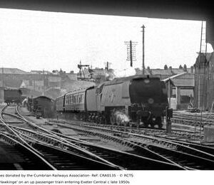 CRA0135