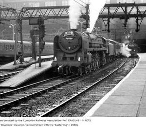 CRA0146