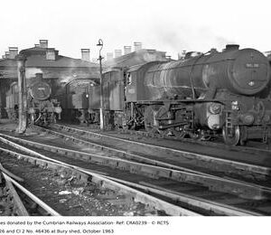 CRA0239