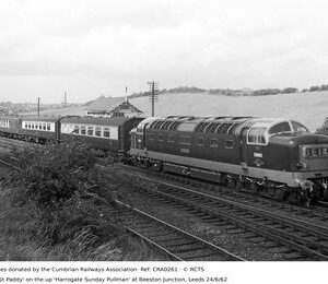 CRA0261