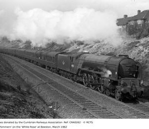 CRA0262
