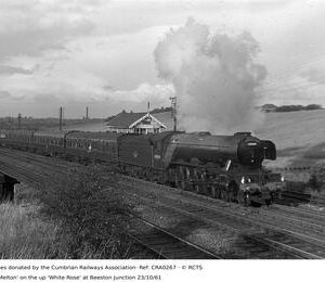 CRA0267