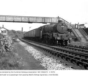 CRA0273