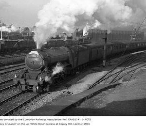 CRA0274