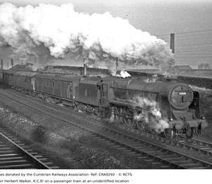 CRA0292