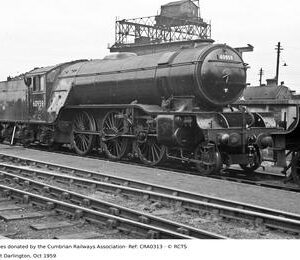 CRA0313