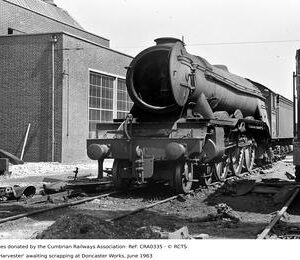 CRA0335