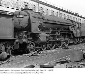 CRA0351