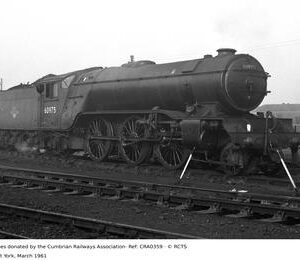 CRA0359