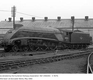 CRA0391