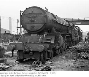 CRA0392
