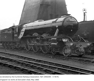 CRA0395