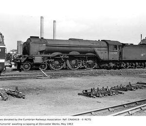 CRA0419