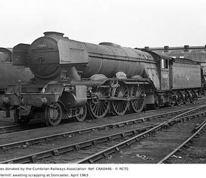 CRA0446